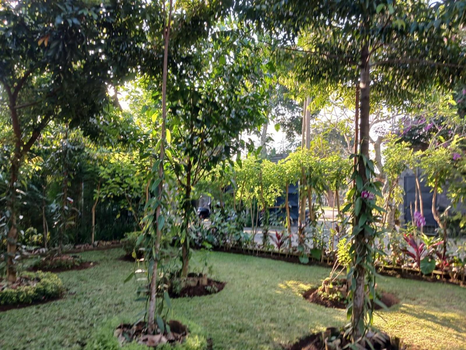 Séjour chez l'habitant Puri Amartha